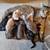 Please help kittens 1 thumbnail