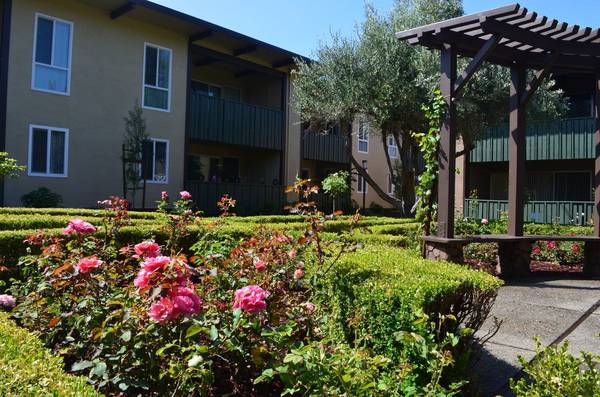 $2,349 / 1br - 776ft2 - Walk-in closets, in Hayward CA, 1 bedroom (hayward / castro valley)63686085916417124