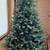 7 foot Christmas Tree w/Stand 2 thumbnail