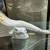 Dancer with Vail by Lladro Figurine 6 thumbnail