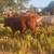 Quality Registerable  Beefmaster Bull — The Ranch Boss 1 thumbnail