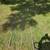Trail cameras 8 thumbnail