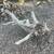 Drift Wood 1 thumbnail
