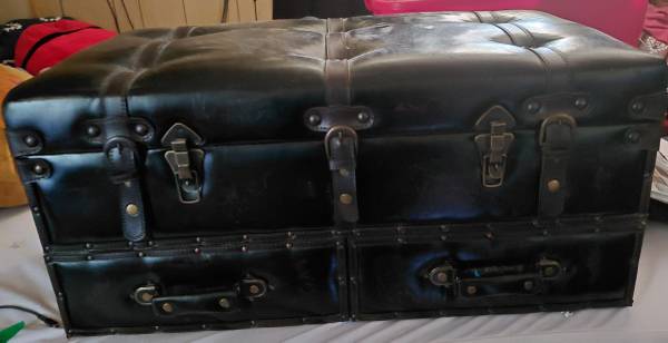 Padded Trunk 1