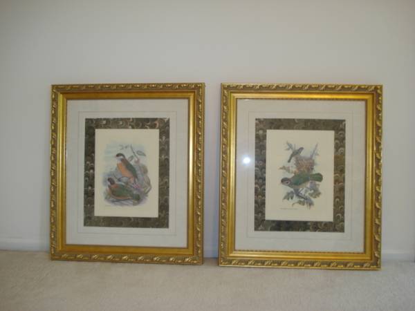 2 Bird Prints!! 1