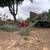 Afordable Debris Hauling & Clean Up -Yuma-  Foothills 2 thumbnail