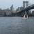 Looking for a sailboat? Learn to sail quick first!! 1 thumbnail
