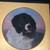 Victorian English School Landseer Newfoundland Dog Oil Board Dated 187 5 thumbnail