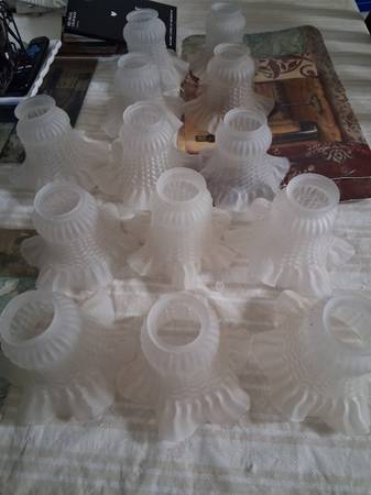 Light Globe for Ceiling Fan Lamps 1