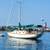 1984 Cape Dory Cutter 31 - BEAUTIFUL! 1 thumbnail