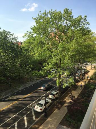 $3,500 / 1br - 720ft2 - ¡Balcón de 1 dormitorio! ¡La mejor vista en DC! ¡Visita hoy! (Dupont Circle)63822294461187123