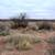 Property Land for Sale: Luna County: Sunshine Valley Ranchettes in New 2 thumbnail