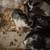Baby rabbits 3 thumbnail