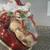 Cookie Jar Santa 4 thumbnail