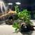 Reptile terrarium 361818 3 thumbnail