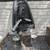 Thule bike seats 2 thumbnail