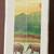 NIB! Eurographics Rainforest 1000 Piece Jigsaw Puzzle Elephants New Se 5 thumbnail