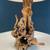 Vintage Farmhouse Live Edge Burl Wood Table Lamp, c.1960’s 6 thumbnail