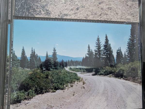 $200,000 TRES LOTES DE 2.5 - 2.8 ACRES todos adyacentes (BOSQUE MT SHASTA/MCCLOUD)63678201287171123