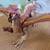 Dragons Vintage Set 90’s Hasbro 1996 15 thumbnail