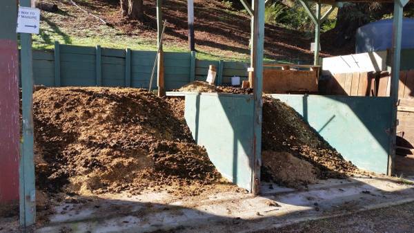 free horse manure 1