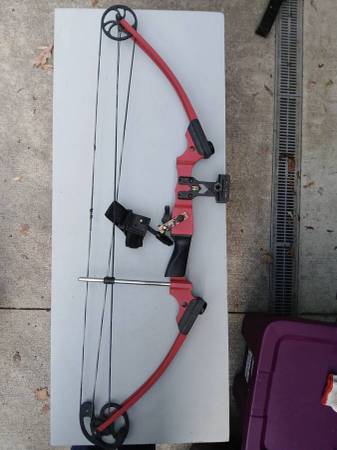Archery Set - Genesis Compound Bow with Sight, Arrow Rest and Release 1