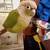 Green chheck 1 thumbnail
