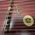 HAMMERED DULCIMER  - MASTER WORKS 10 thumbnail