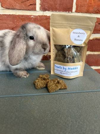 Rabbit or Small Animal Treats 1