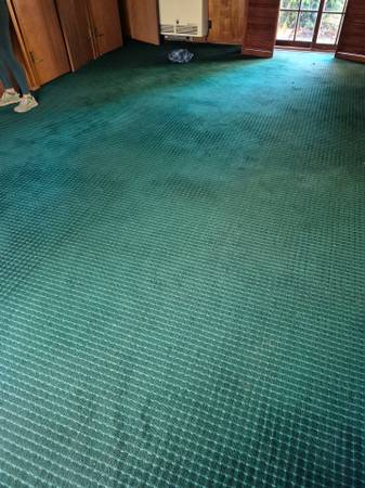 FLASH SALE!!! Beautiful carpet 21x15 1