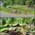 Landscape and mowing services 9 thumbnail