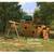Top Quality Playsets 6 thumbnail