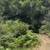 Buildable Lot along Uvas Reservoir 10+ Acres FINANCING 15 thumbnail