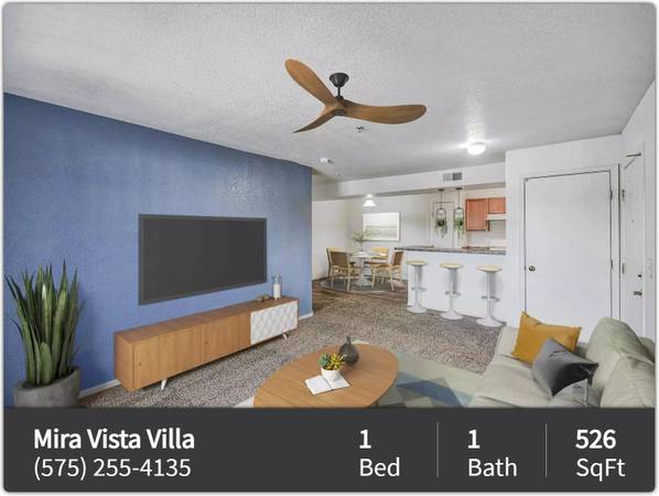 $845 / 1br - 526ft2 - Discover more: 1 BR, 1 BA, 526 Sq Ft. It's all here! (Las Cruces)63861850793089122