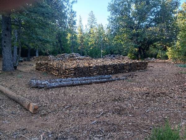 Oak firewood 1