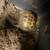Russian Tortoise 3 thumbnail