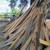 Florida Cypress Sawmill Lumber - Labor SALE! 7 thumbnail