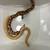 kenyan sand boas 2 thumbnail