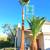 Green View Tree Service 3 thumbnail