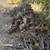 Firewood 6 thumbnail