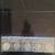 2021 Silver Eagle, five coin set MS70 1 thumbnail