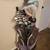 LADIES 15pc PETITE GOLF CLUB SET MIZUNO SORA +RBZ 5'3 GRAPH 22 thumbnail