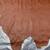 Ralph Lauren Ginger Brown Full Grain Leather Upholstery Cow Hides 1 thumbnail