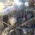 2017 Kenworth T680 SALE/TRADE for Toy Hauler+$$ 11 thumbnail