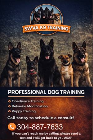Dog Training 1
