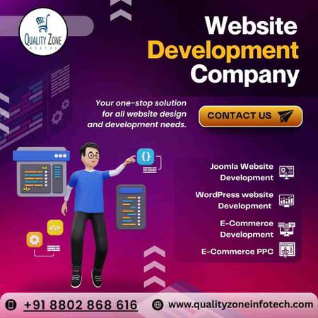 How can a website development company in Noida help a brand 1