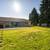House on Acreage 22 thumbnail