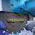 Ryobi 10" Miter Saw with Carbide Blade 2 thumbnail