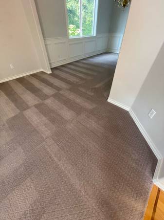 Carpet shampoo 🧴 1