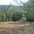 Gold Country, 9.43 acres 2000+ sq.ft cabin off grid 9 thumbnail